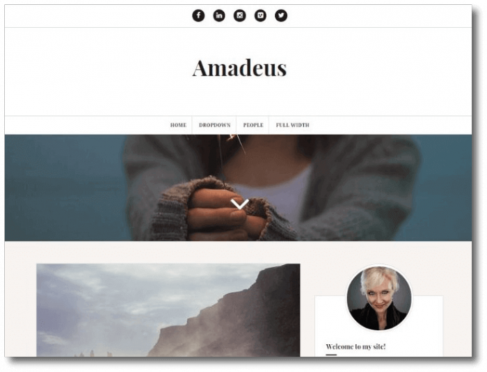 Amadeus-WordPress-Theme-e1452629524816